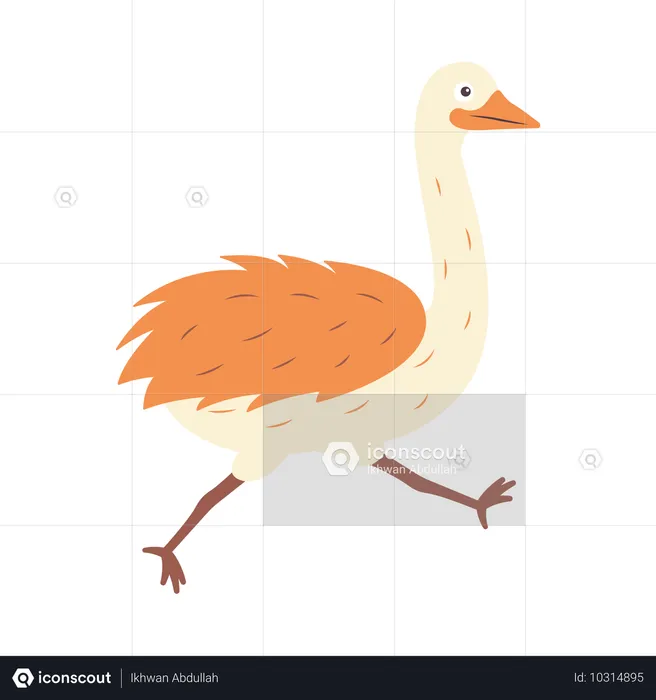 Cute Ostrich Running  Illustration