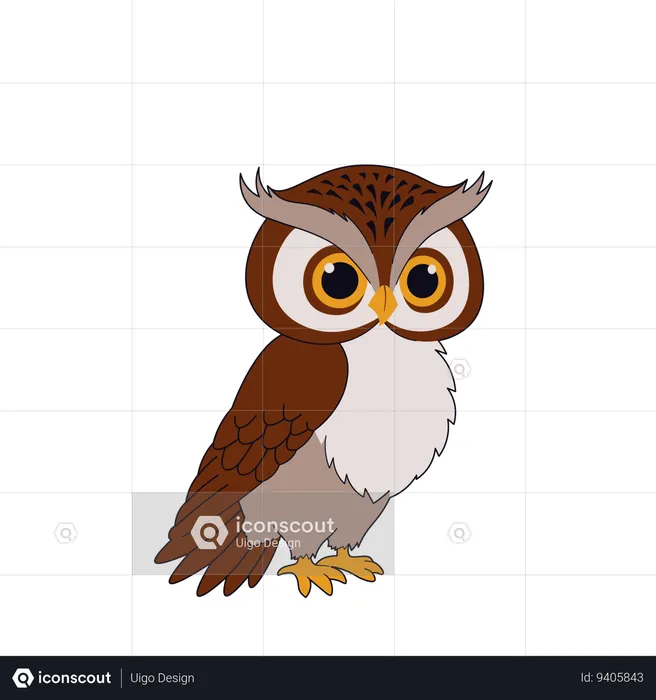 Cute Owl  Illustration