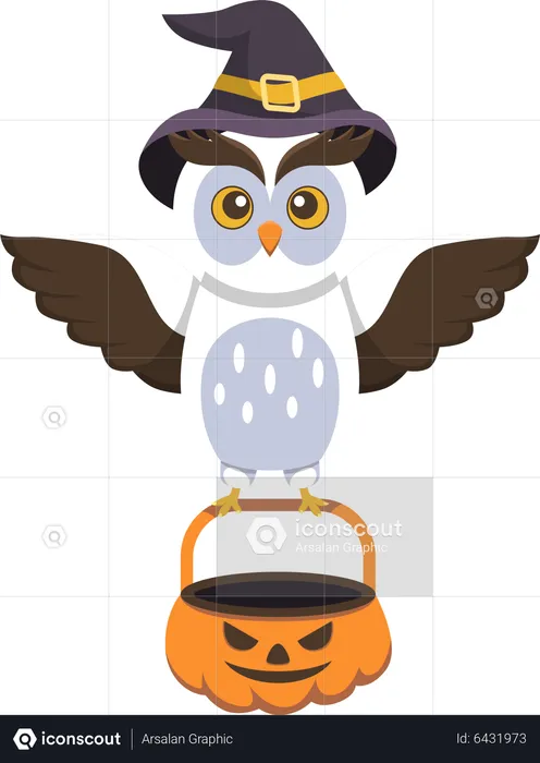 Cute Owl with Pumpkin  Illustration