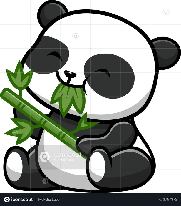 Cute Panda Eat Bamboo  Illustration
