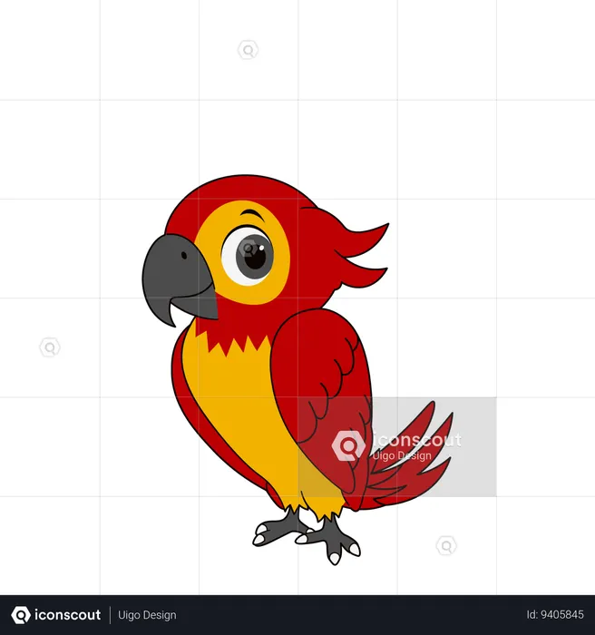 Cute Parrot  Illustration