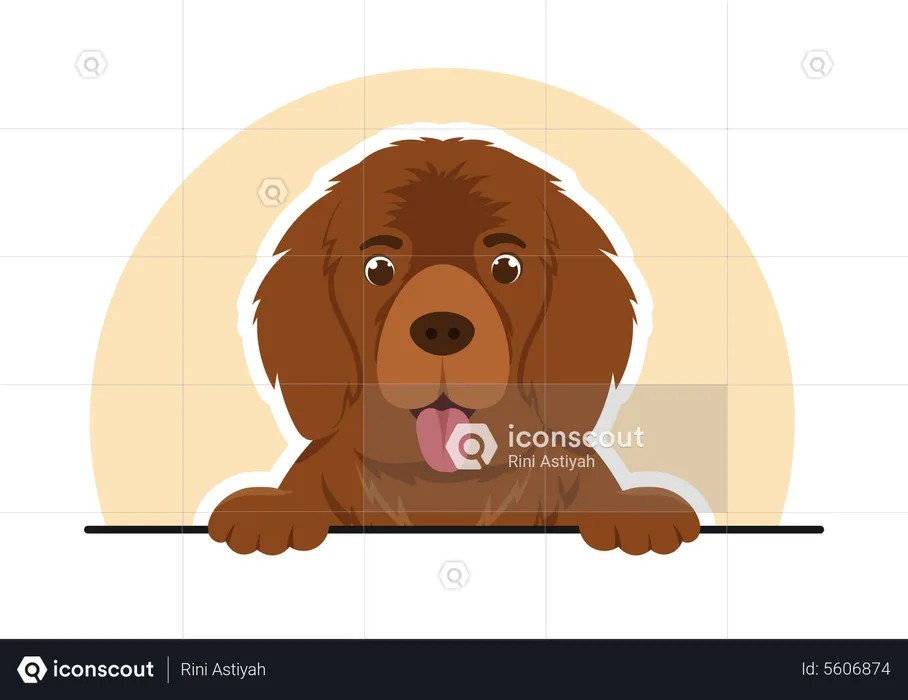 Cute puppy  Illustration