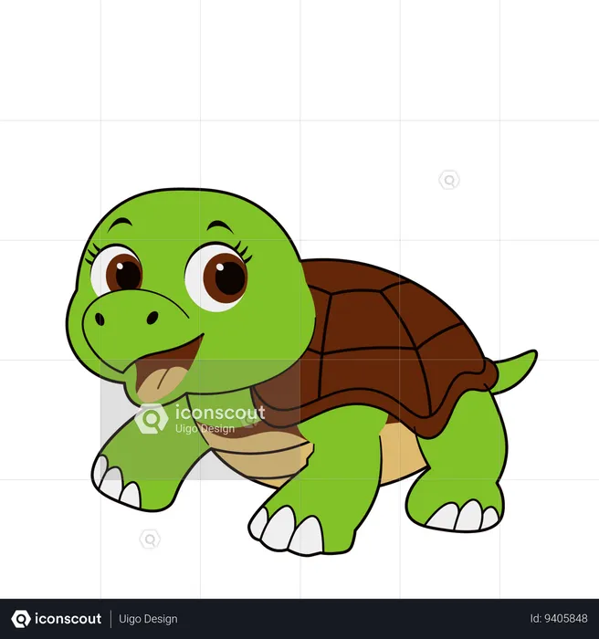 Cute Turtle  Illustration