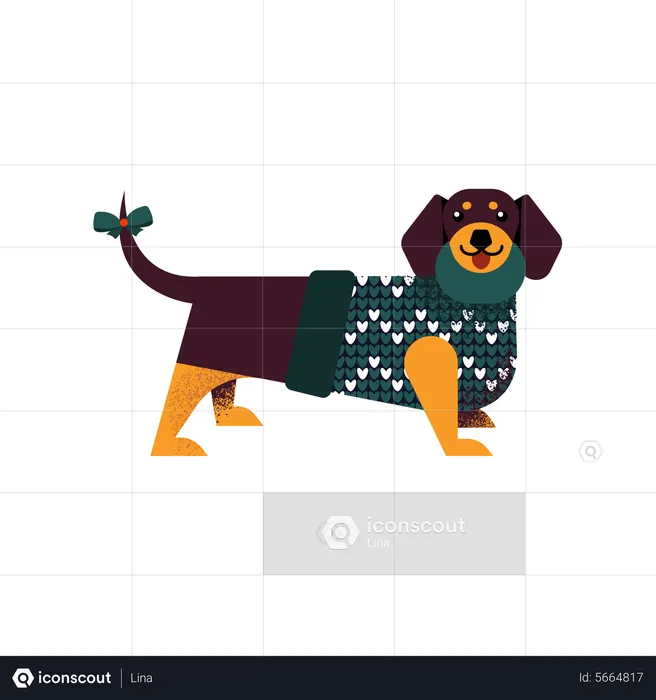 Dachshund dog in a sweater  Illustration