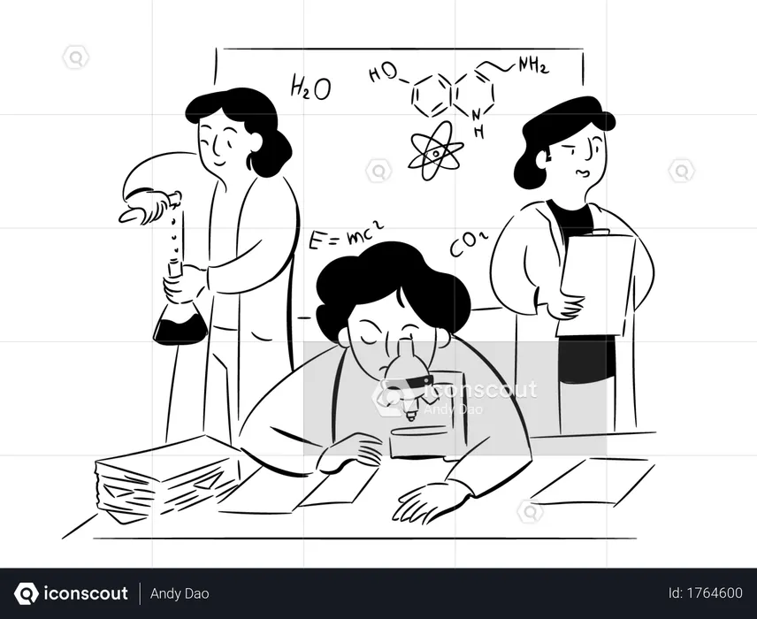 Découverte  Illustration