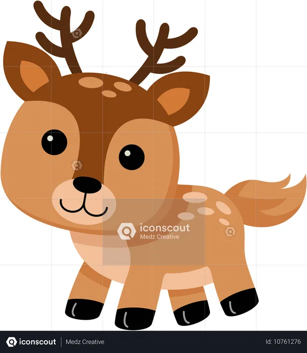 Deer  Illustration