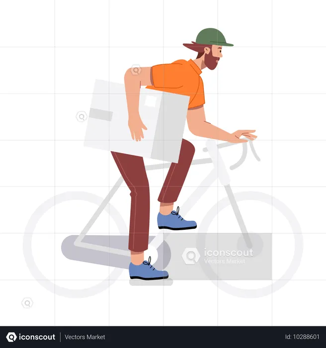 Deliveryman riding cycle  Illustration