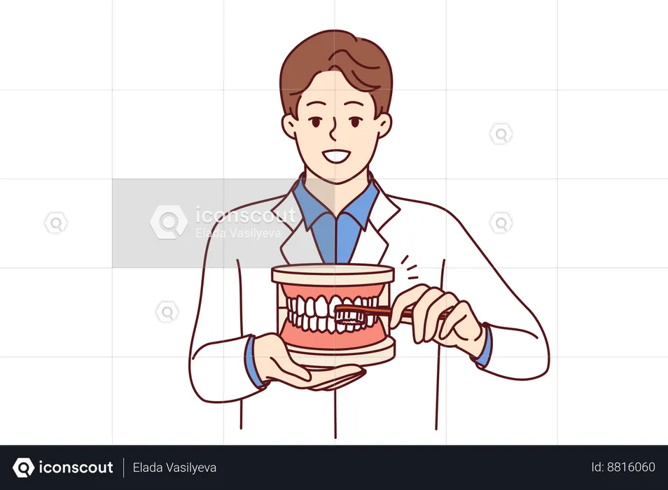 Dentist explains oral hygiene  Illustration