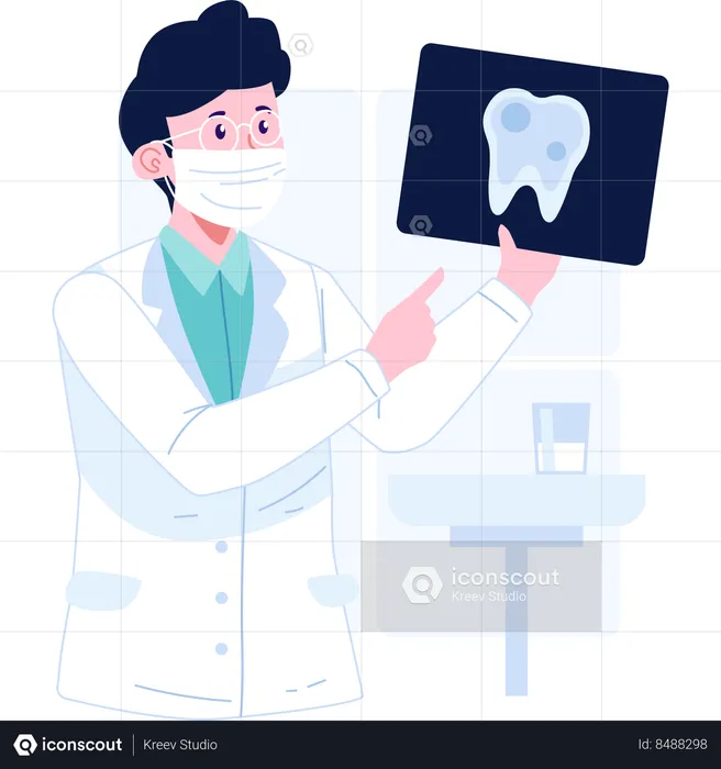 Dentist holding tooth xray  Illustration