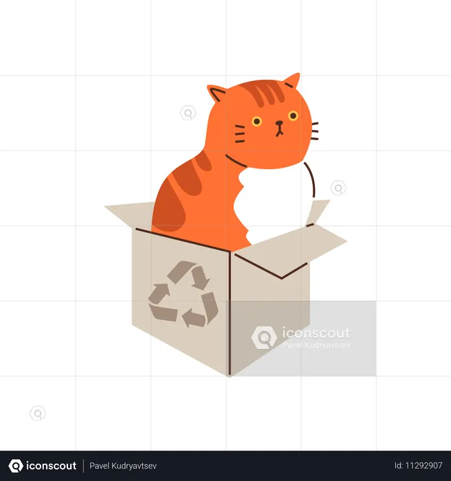 Depicting a lazy striped orange cat relaxing at ease in a cardboard box  Illustration