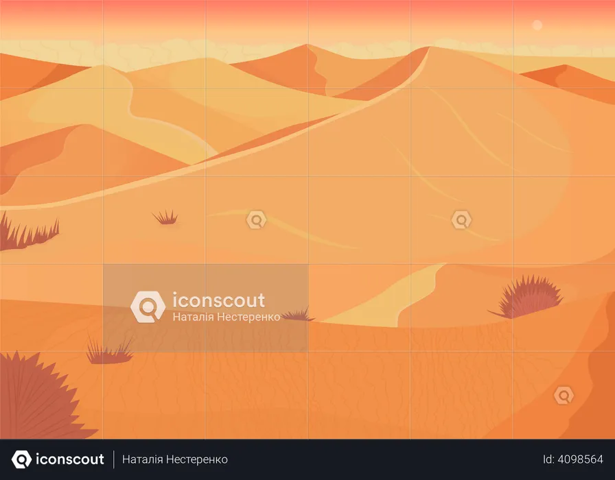 Desert sunset  Illustration