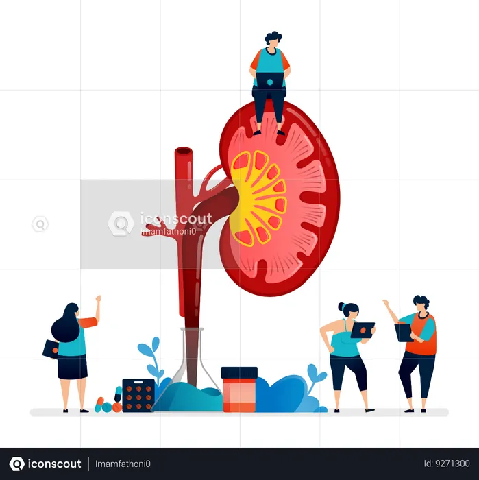 Detail Inside Kidney  Illustration