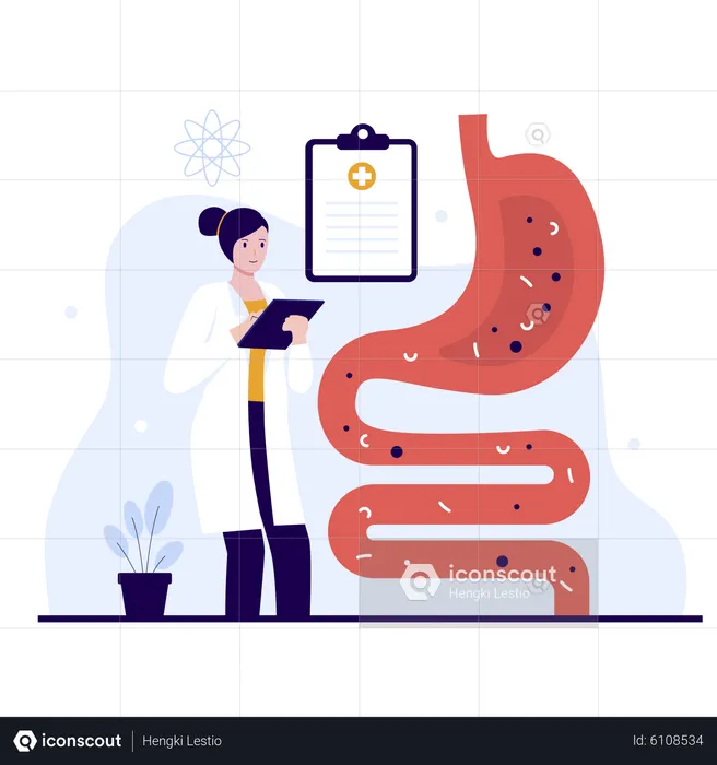 Digestive system  Illustration