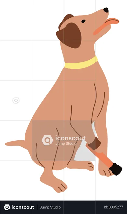 Disabled dog with leg prosthesis  Illustration