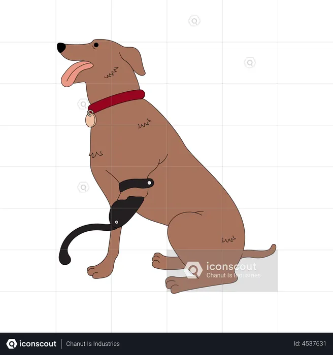 Disabled dog with leg prothesis  Illustration