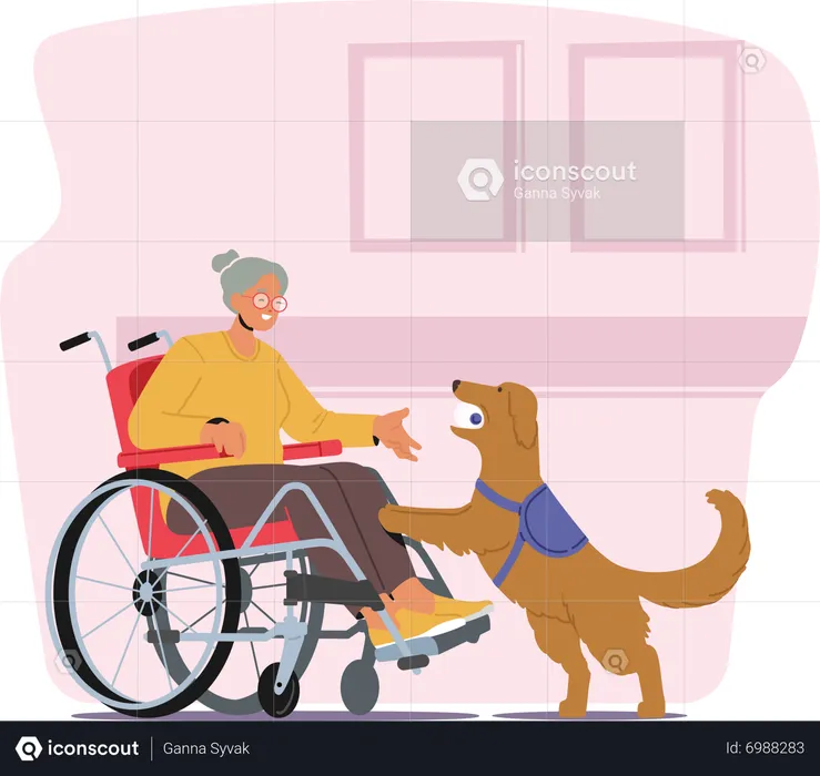 Disabled Senior Woman On Wheelchair Accompanied By Her Loyal Guide Dog  Illustration