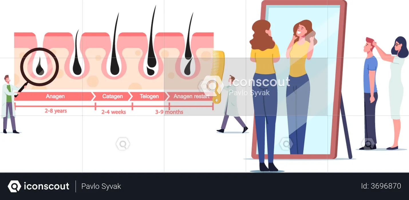 Doctor at Medicine Hair Growth and Loss Cycles  Illustration