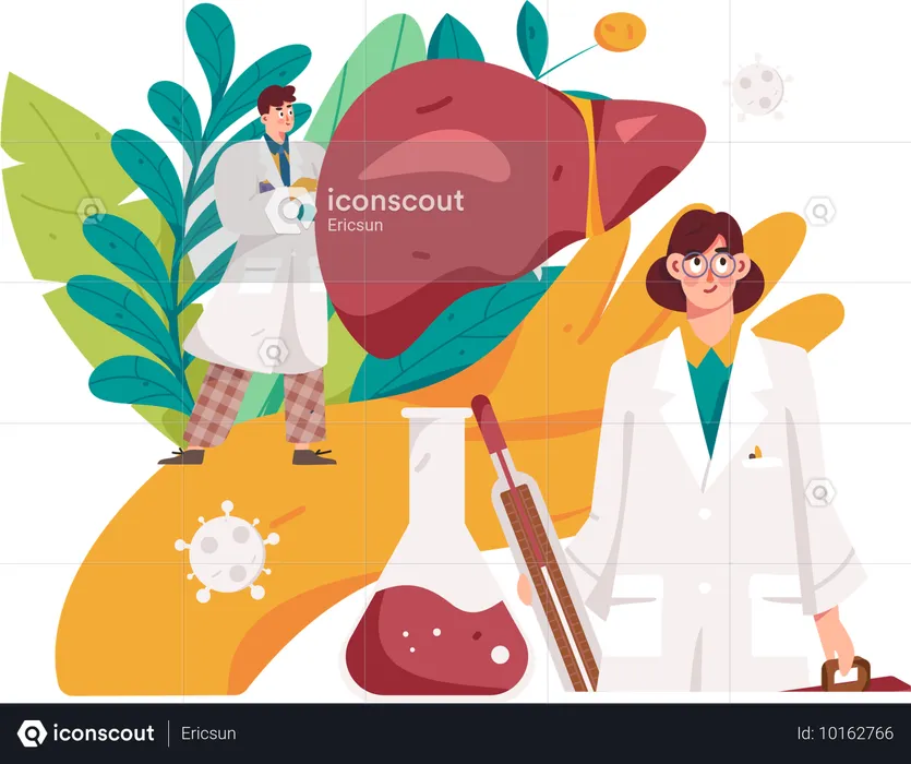 Doctor checking liver  Illustration