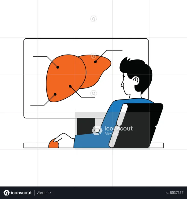 Doctor checking liver  Illustration