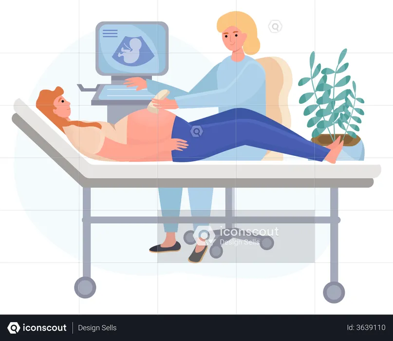 Doctor doing pregnancy ultrasound examination  Illustration