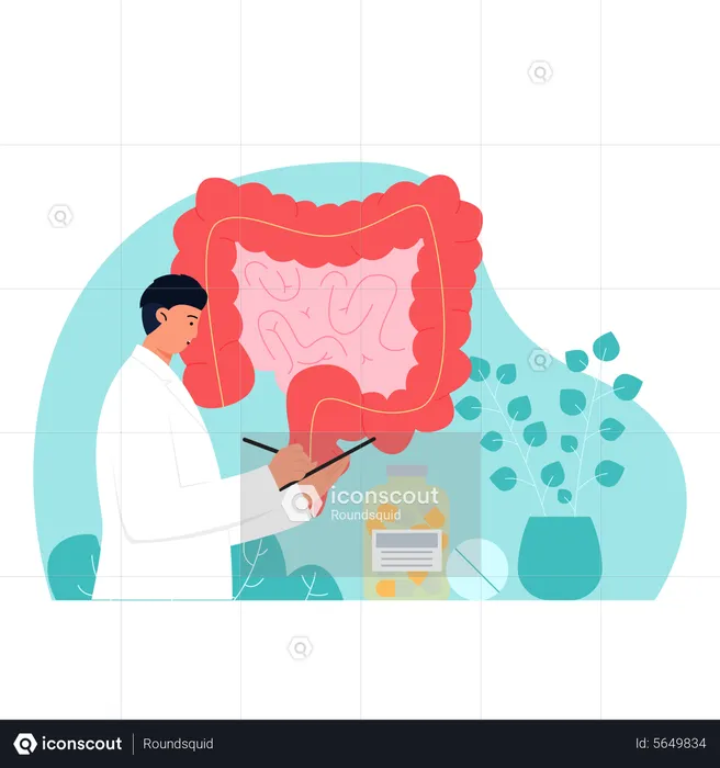 Gastroenterologist examining intestine report  Illustration