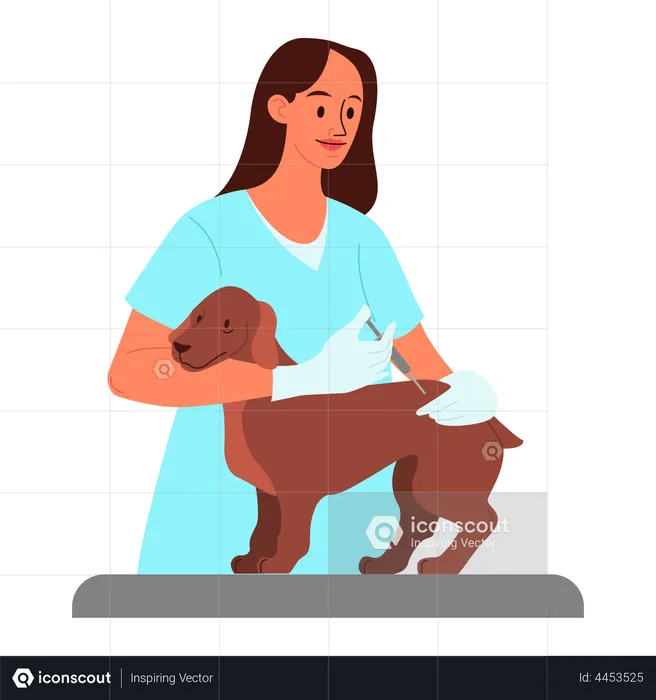 Doctor giving vaccine shot to pet dog  Illustration