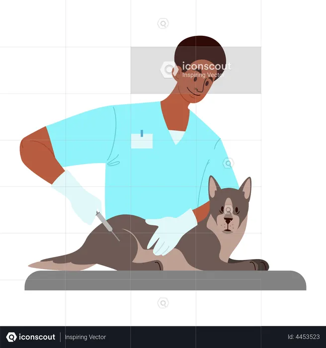 Doctor giving vaccine to pet  Illustration