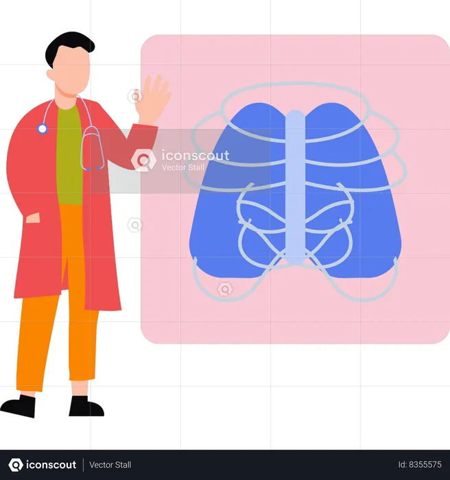 Doctor is looking at the rib cage  Illustration