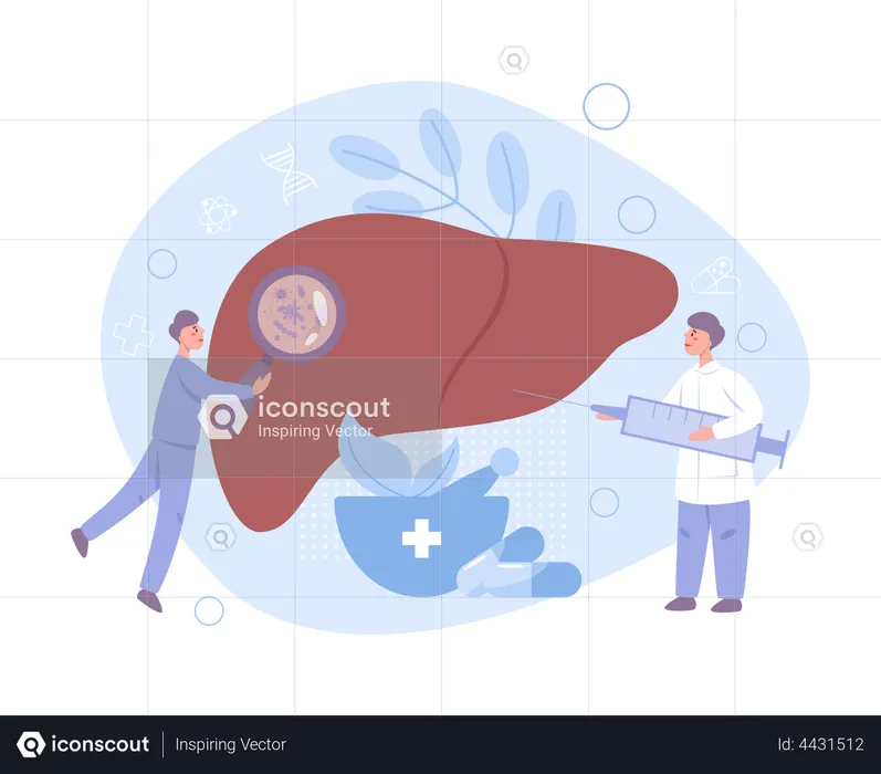 Doctor make liver examination  Illustration