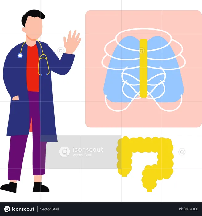 Doctor pointing to x-ray of ribs  Illustration