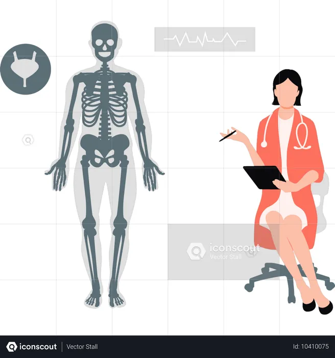 Doctor showing human body skeleton  Illustration