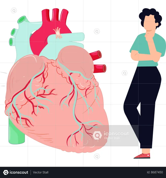 Doctor takes decision to do heart surgery  Illustration