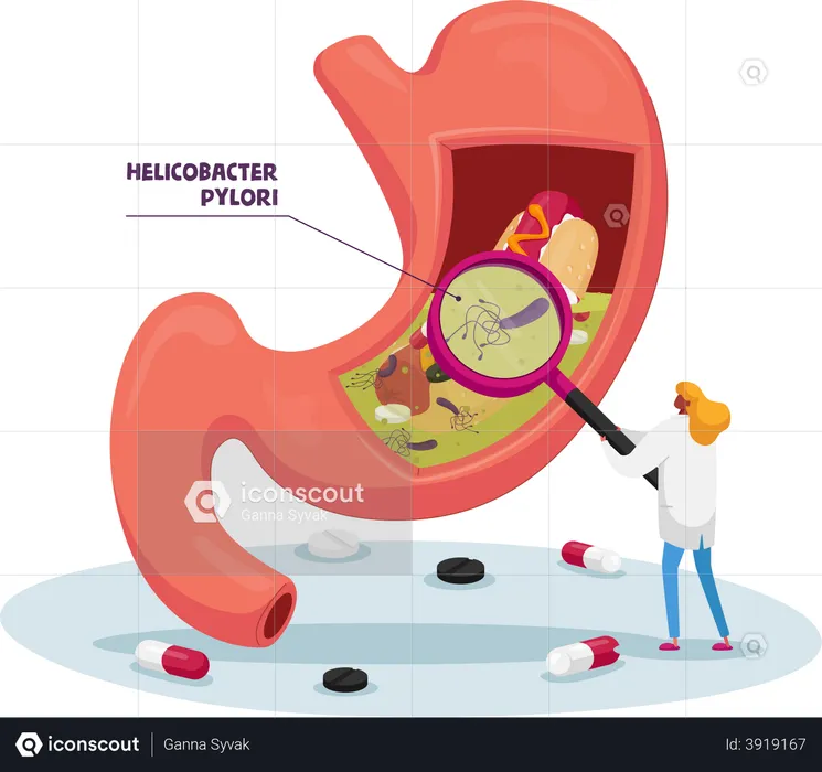 Doctor with Magnifying Glass Learning Sick Stomach with Helicobacter Pylori Disease or Gastritis  Illustration