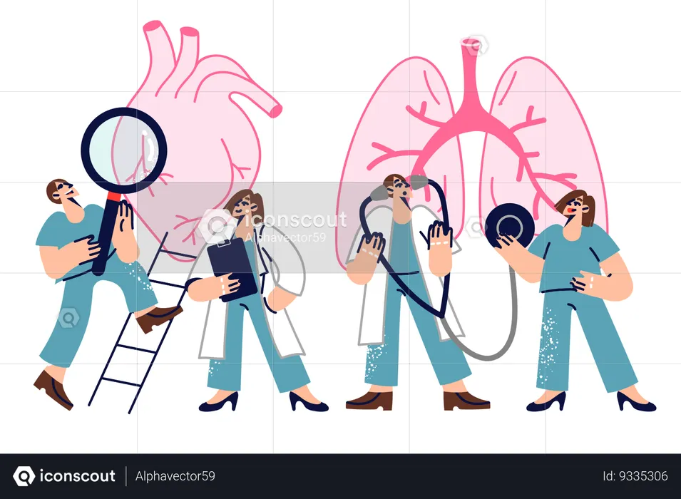 Doctors examining patient heart and lungs  Illustration