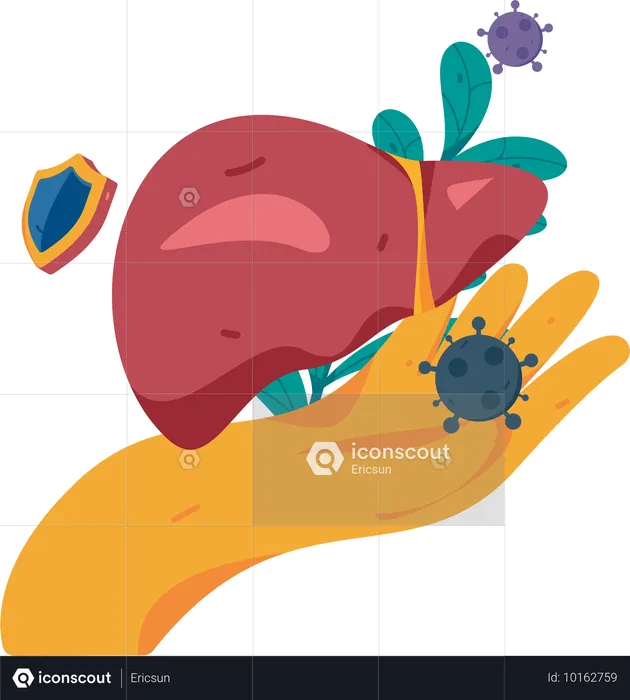 Doença hepática e seguro médico  Ilustração