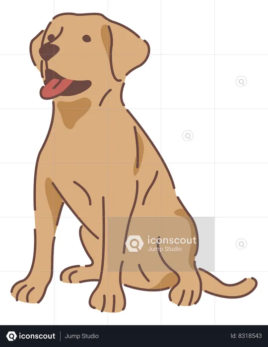 Dog  Illustration