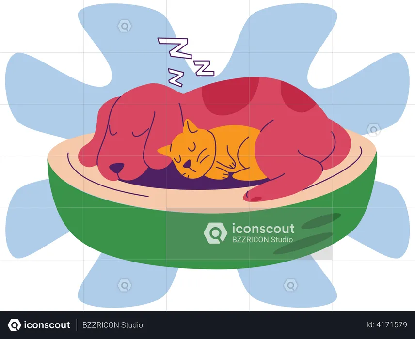 Dog and cat Sleeping together  Illustration