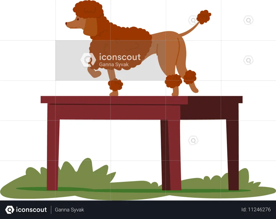 Dog doing table training  Illustration