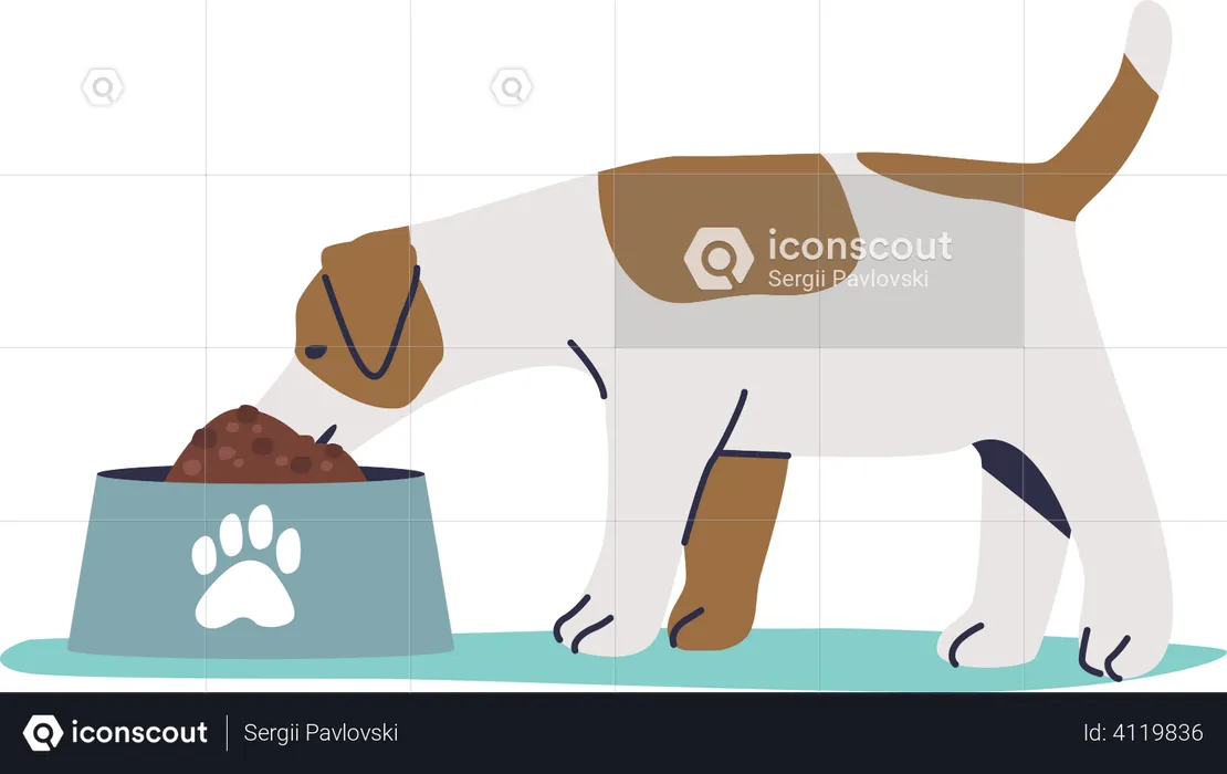 Dog eating dry food  Illustration