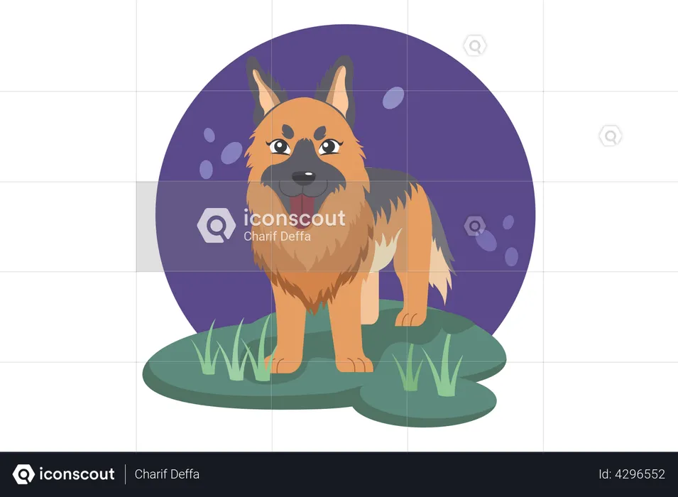 Dog  Illustration