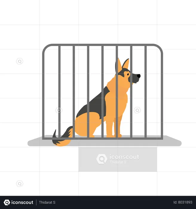 Dog In Cage  Illustration