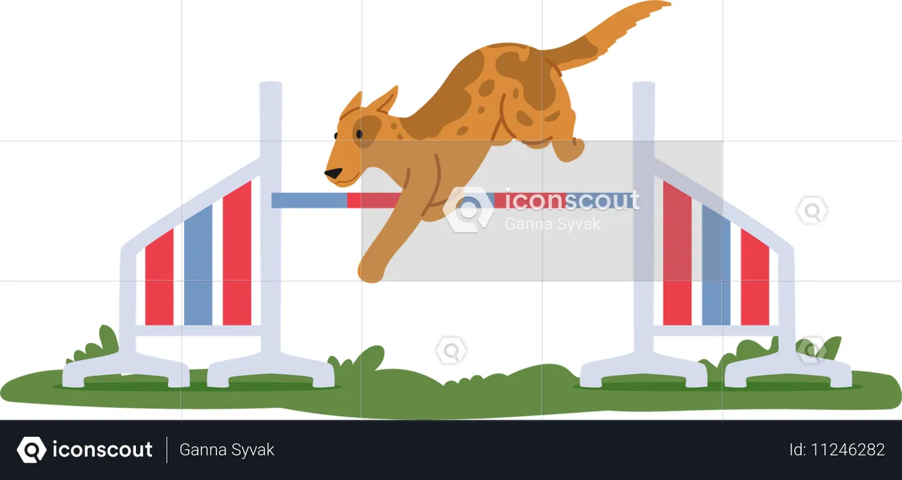 Dog jumping over high hurdle  Illustration