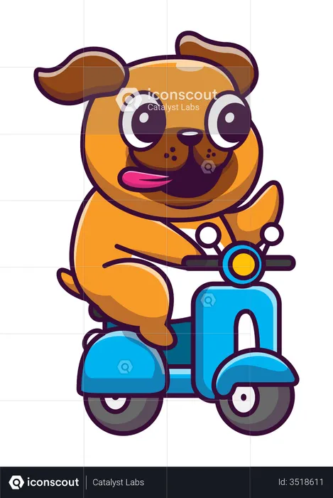 Dog riding scooter  Illustration