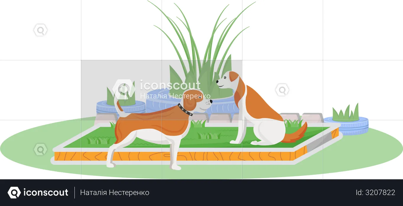 Dogs on lawn  Illustration