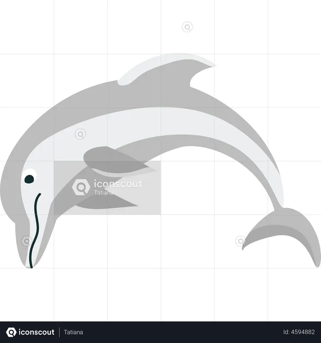 Dolphin jumping in the waves  Illustration