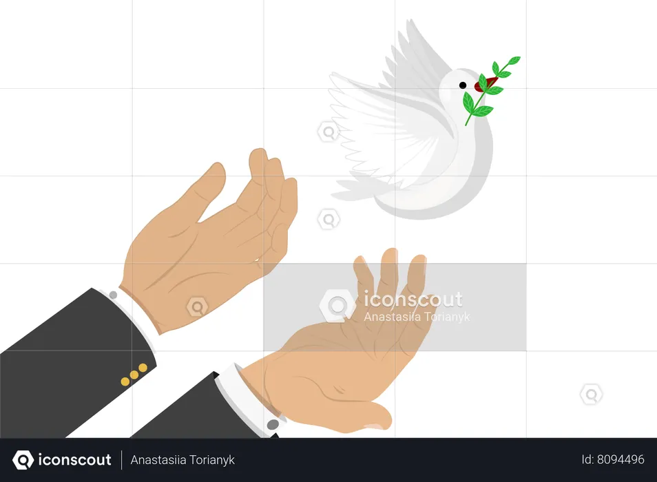 Dove of Peace  Illustration