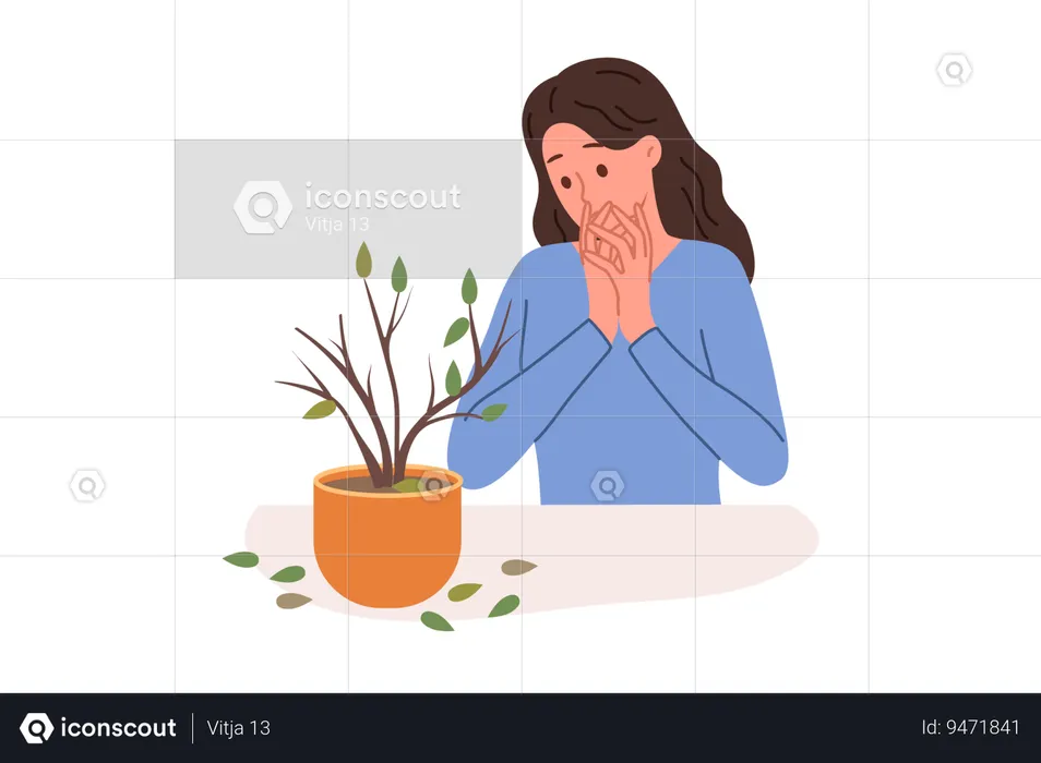Dried out houseplant in pot causes stress to upset woman who is interested in botany  Illustration