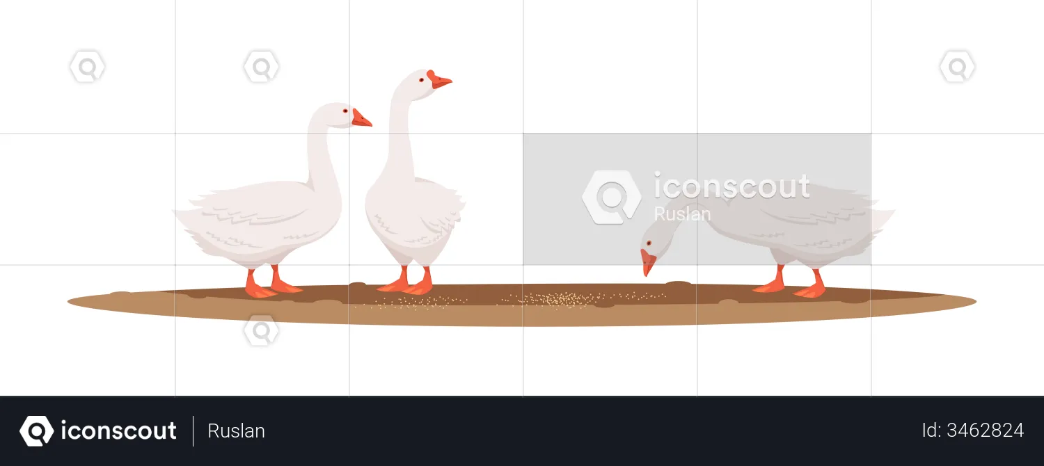 Duck Eating Food  Illustration