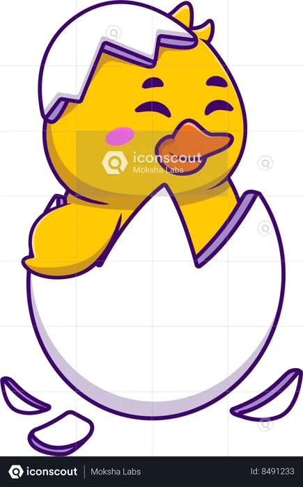 Duck In Egg  Illustration