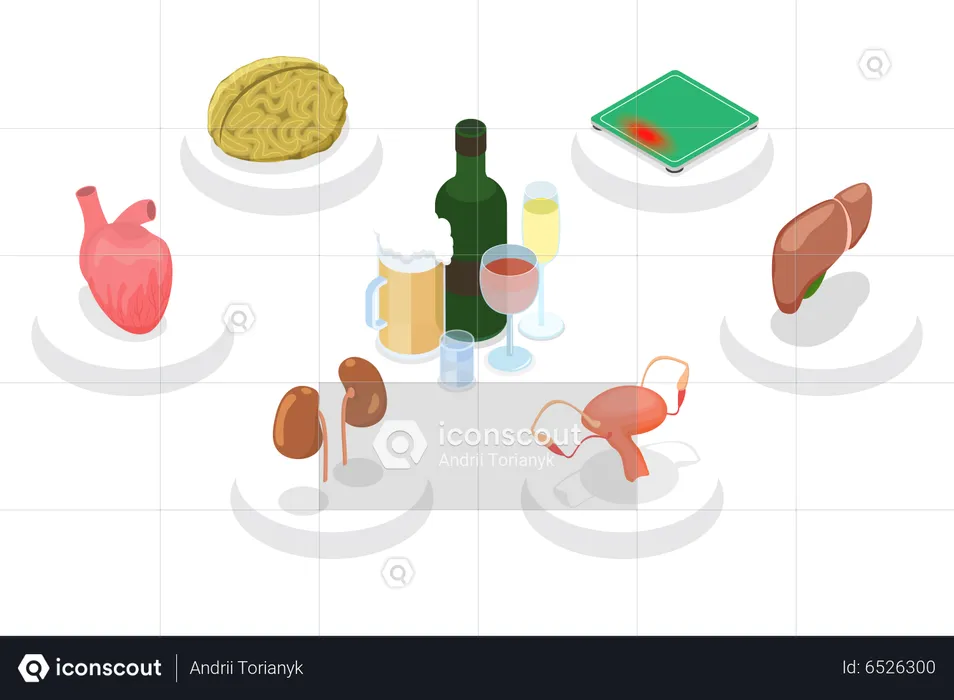 Effects Of Alcohol  Illustration